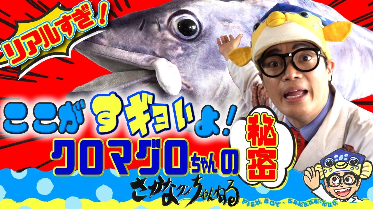 【クロマグロちゃん編】リアルすぎる！さかなクンプロデュース&ldquo;おさかなぬいぐるみシリーズ&rdquo;「クロマグロのすギョい秘密」を徹底解説！