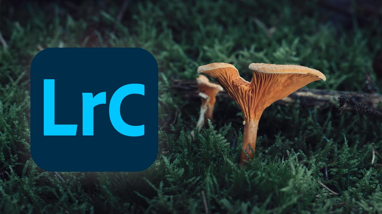 Macro editing LIVE: Lightroom and chill (10k celebration!)