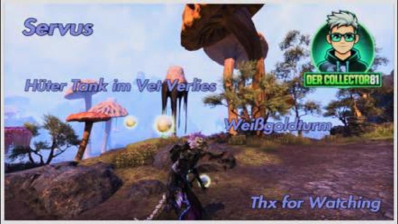 The Elder Scrolls Online Hüter Tank im Vet Weißgoldturm