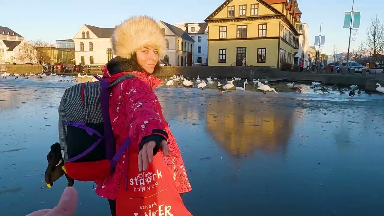 Searching for Elves  in Reykjavik - Iceland