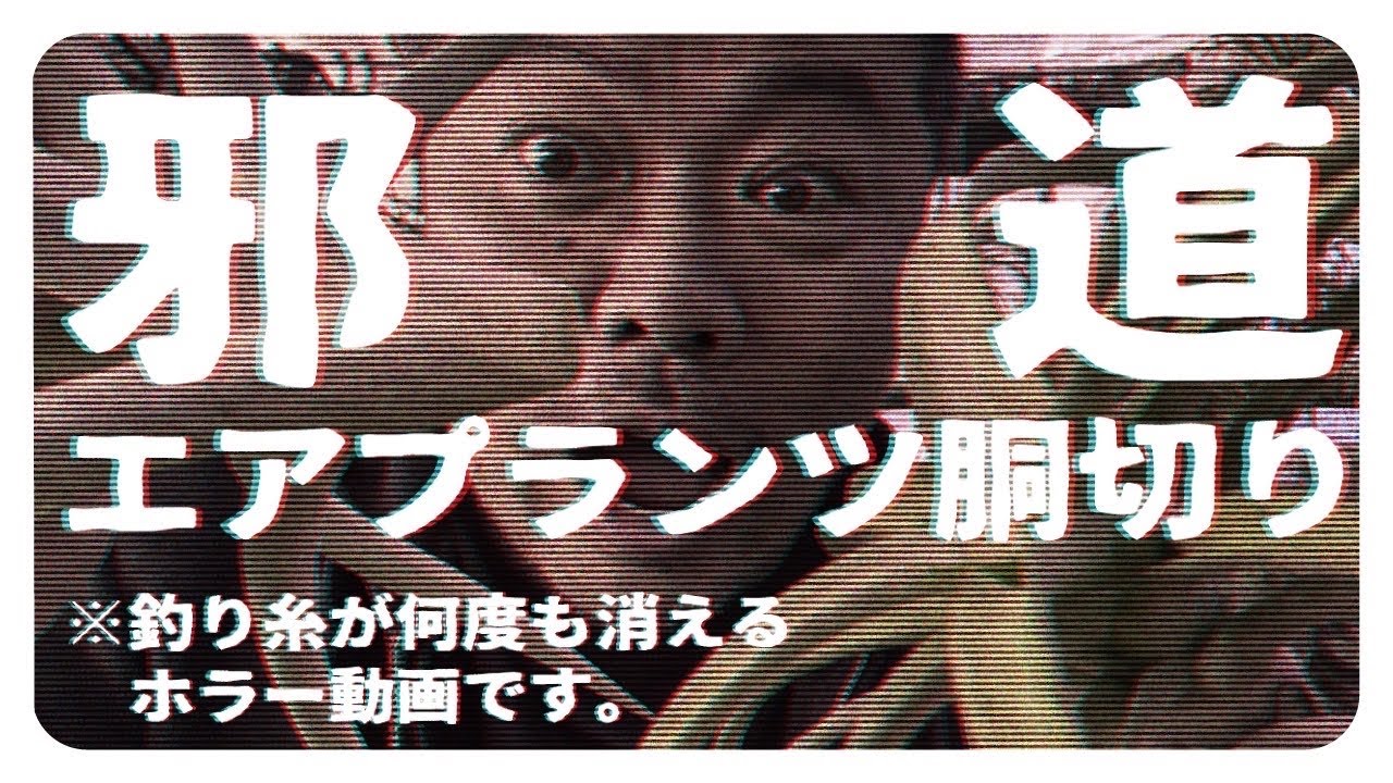 【邪道】エアプランツの増やし方を解説❗️エアプランツ胴切りの