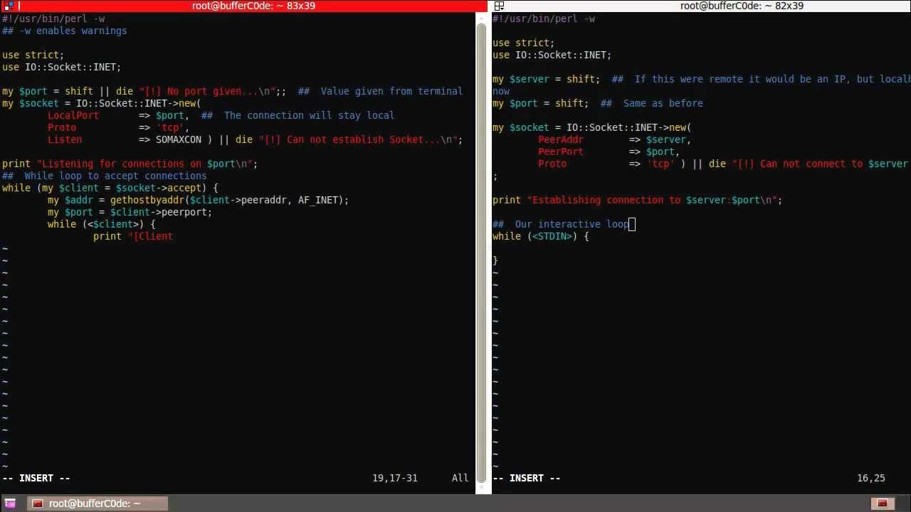 Perl Basic Networking | TCPServer/Client