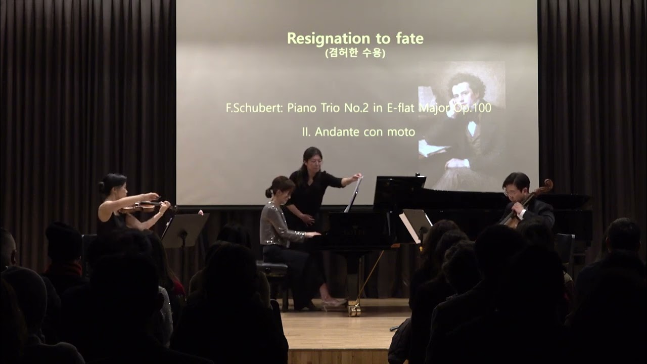 F.Schubert: Piano Trio No.2 in E-flat Major Op.100 II. Andante con moto