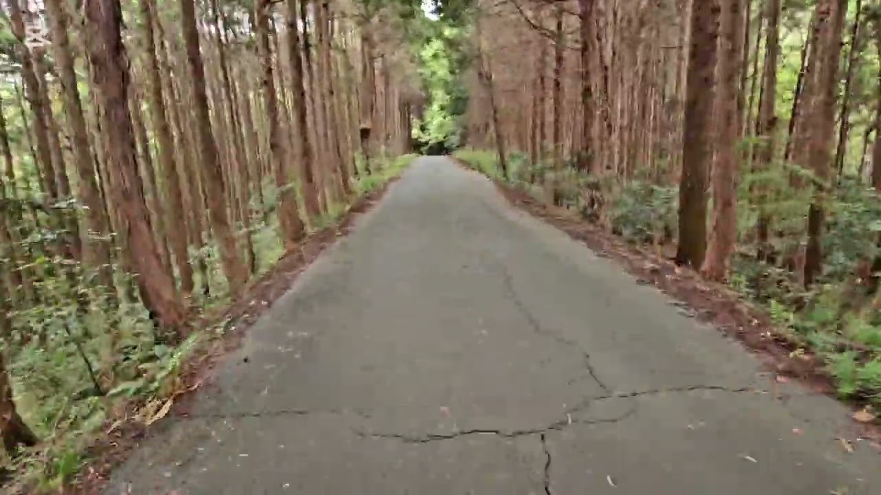 おｯ!!散歩～愛知県 新城市 健康の道～