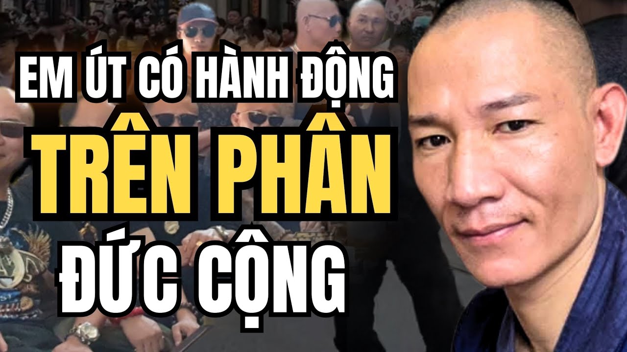 30 Cây Xanh Bị Bán Không Báo Trước – Đức Cộng Chọn Con Đường Pháp Lý Để Giải Quyết