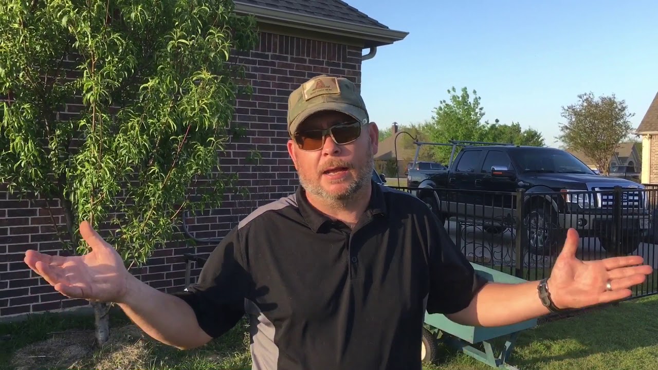 Solar Oven and Prepper Gardening