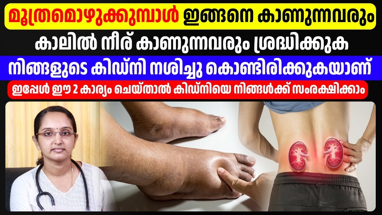 വൃക്ക അപകടത്തിലാവുന്നതിന്റെ  ലക്ഷണങ്ങൾ ഇതൊക്കെയാണ് .| ഈ പൊടിക്കൈകൾ ചെയ്ത് നോക്കൂ