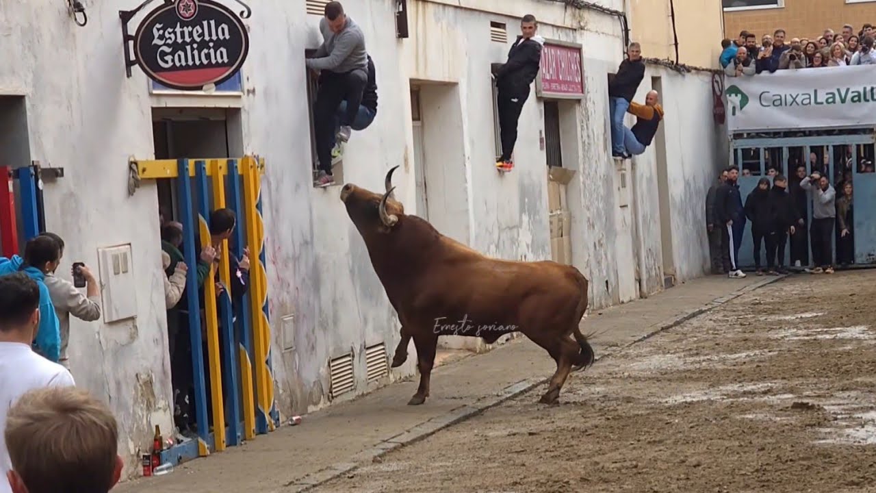 Gran toro en Xilxes, Garcia Jimenez , 17 de enero 2026