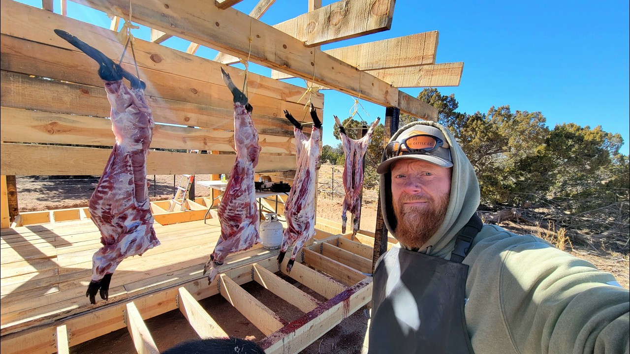 Farm to Table: Butchering Pigs on my Off-Grid Homestead