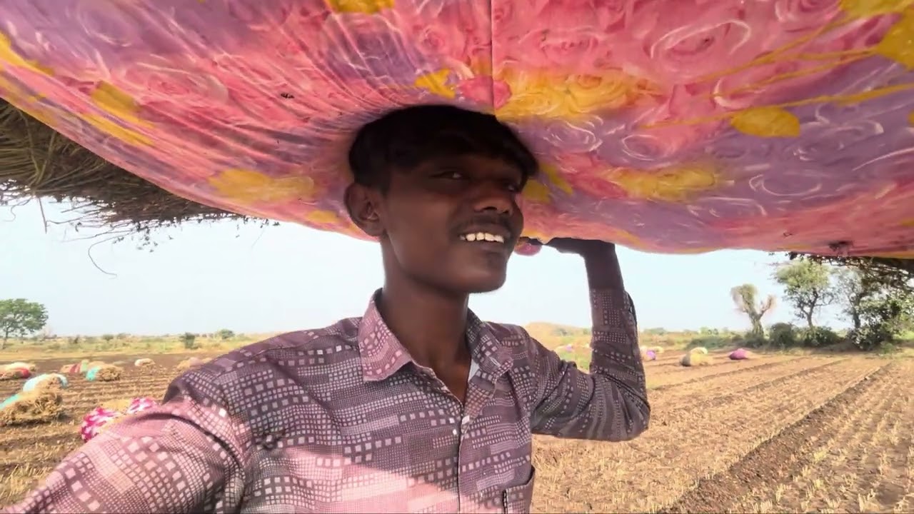 આજે ધાણા ભેગા કરી નાખ્યા અને ઋત્વિક ની વાડીએ હલર  જોવા ગયા #trending #dailyvlog #villagerlifestyle 