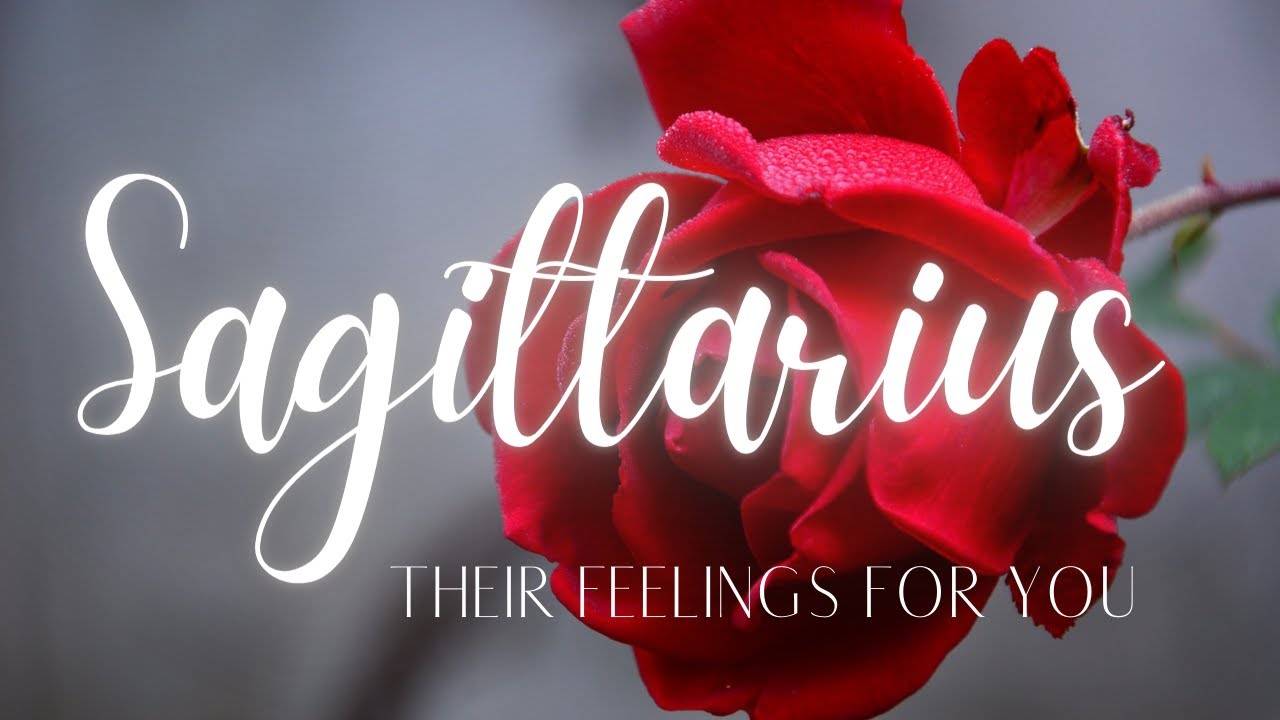SAGITTARIUS LOVE TODAY - THEIR NEXT MOVE IS ONE YOU'VE BEEN WAITING FOR!!!