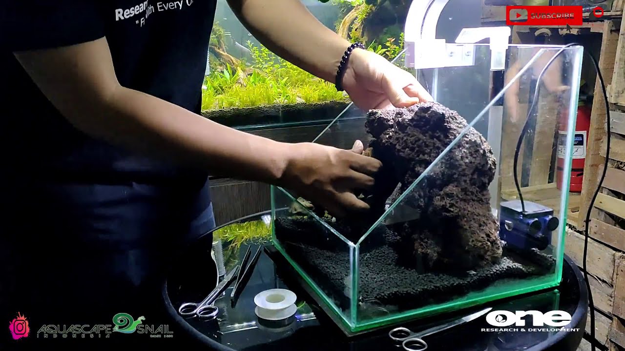 Bikin paludarium yang simpel,murah cocok buat pemula PART 1