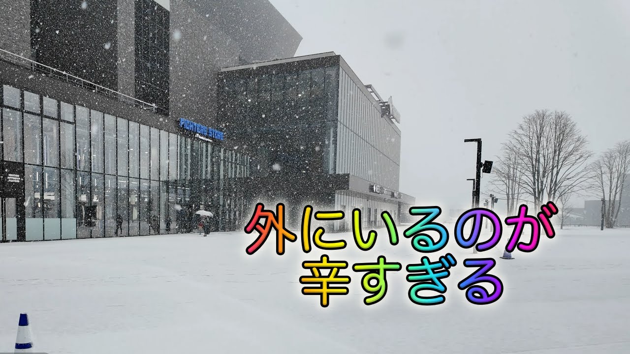 エスコンフィールド北海道・大雪＆大型ビジョンの修理