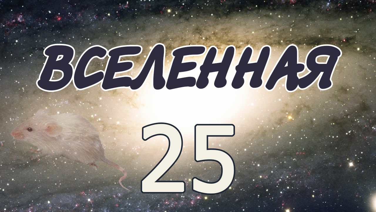 Эксперимент &laquo;Вселенная 25&raquo;
