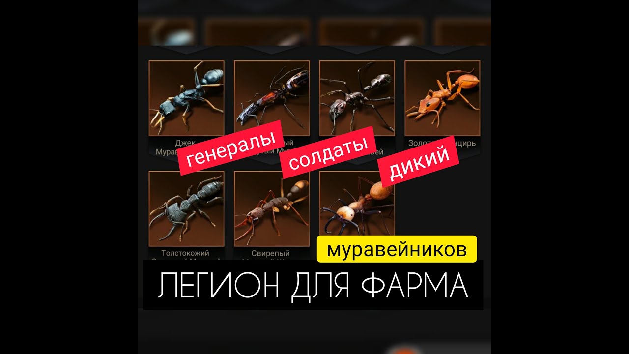 ТОП ЛЕГИОН для фарма МУРАВЕЙНИКОВ! Полный гайд! The Ants: Underground Kingdom