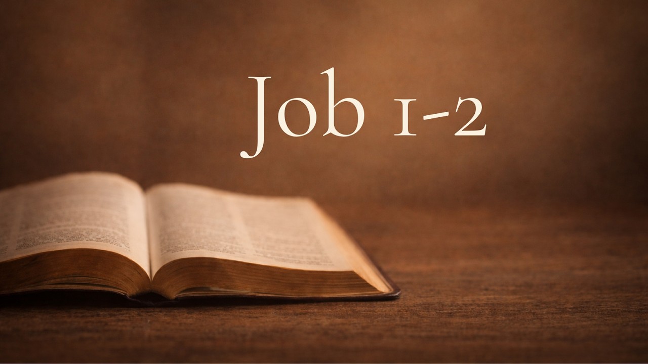 Job 1-2 | Daily Bible Reading & Reflection (Day 5)