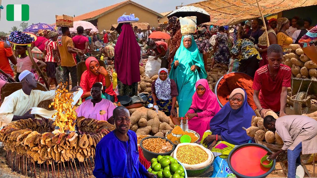 The Niger Republic🇳🇪 - Nigeria 🇳🇬 Border Market, Jigawa Nigeria, West Africa