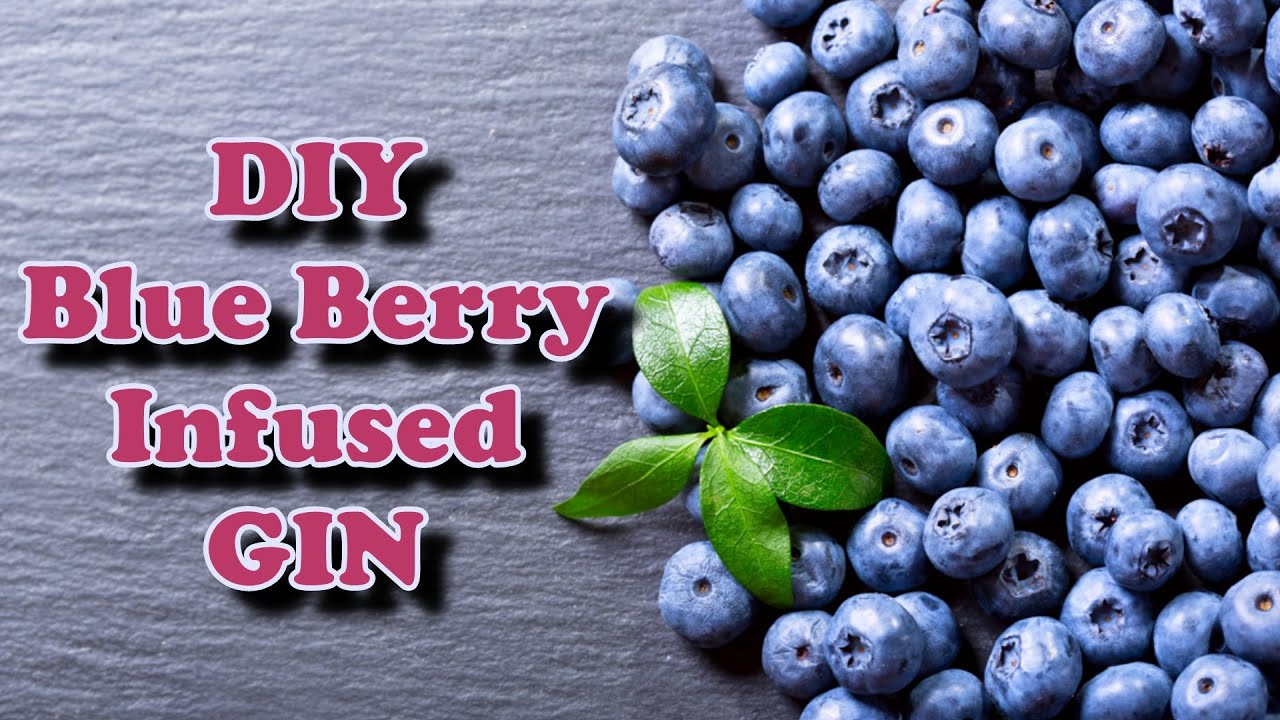 DIY Blue Berry Infused GIN