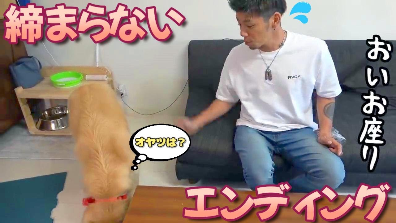 【釣りよかペット劇場】大事なところでスルーのまるくん。 Part.79