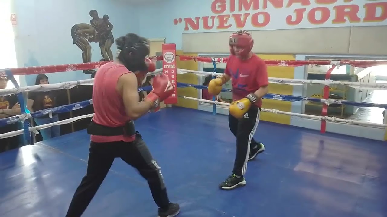 TEAM Lucky Romero La casa del boxeo con diamantito flores 