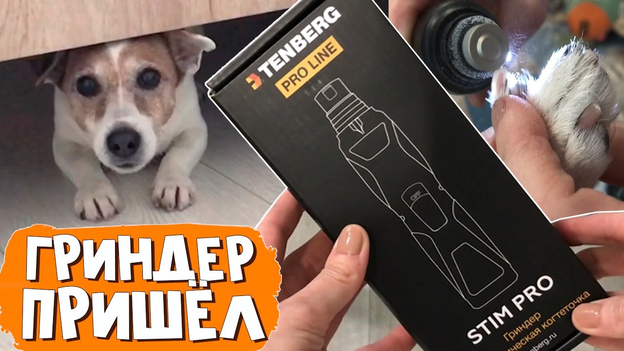 Что такое ГРИНДЕР ДЛЯ СОБАК и как им пользоваться. Самый бескровный способ спиливания когтей у собак