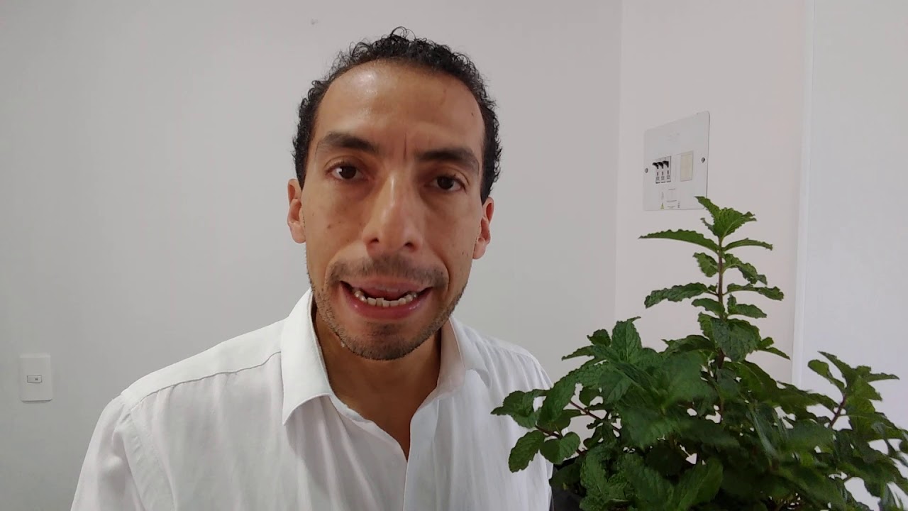 Beneficios de la Yerbabuena y como tratar sus plagas