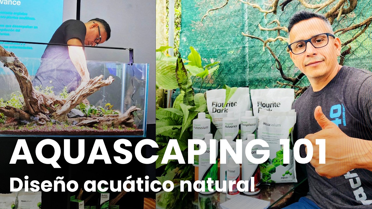 Principios de Aquascaping | Geyner Medina con AquaCR