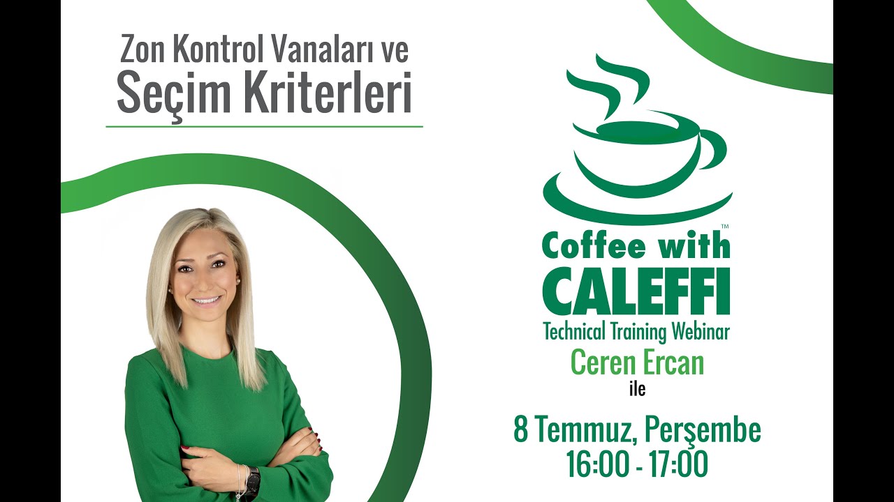 Zon Kontrol Vanaları ve Seçim Kriterleri