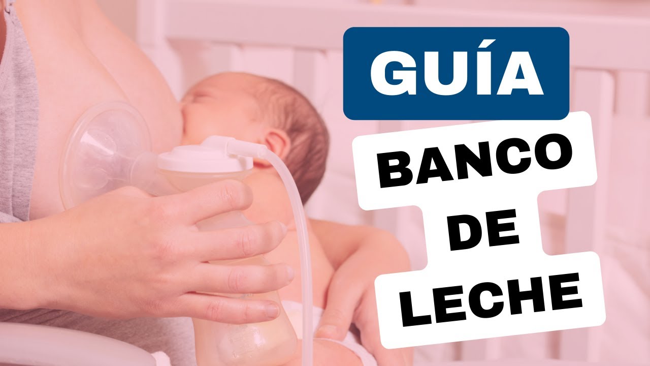 🥛👶🏻GUIA COMPLETA PARA HACER TU BANCO DE LECHE: Paso a paso 🍼