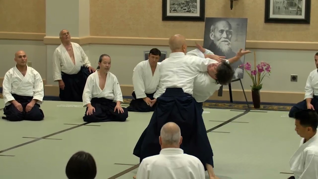 2023 USAF Summer Camp - Hayato Osawa Shihan (2 of 3)