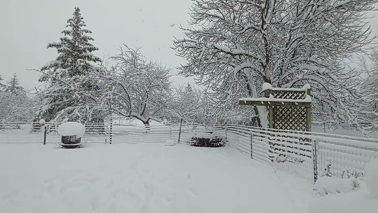 Winter-Storm 2024