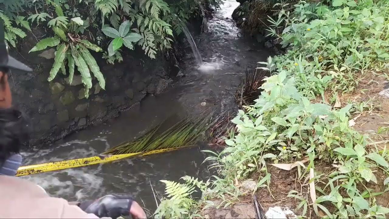 Sehabis hujan spot ini makin gacor 