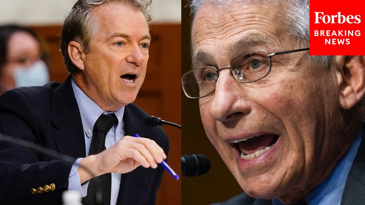 JUST IN: Rand Paul And Dr. Fauci Engage In Another Epic Senate Clash: 'Reprehensible!'