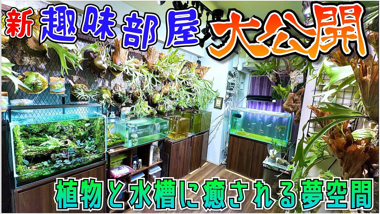 【大公開】趣味に生きる27歳異常者の趣味部屋紹介！！！