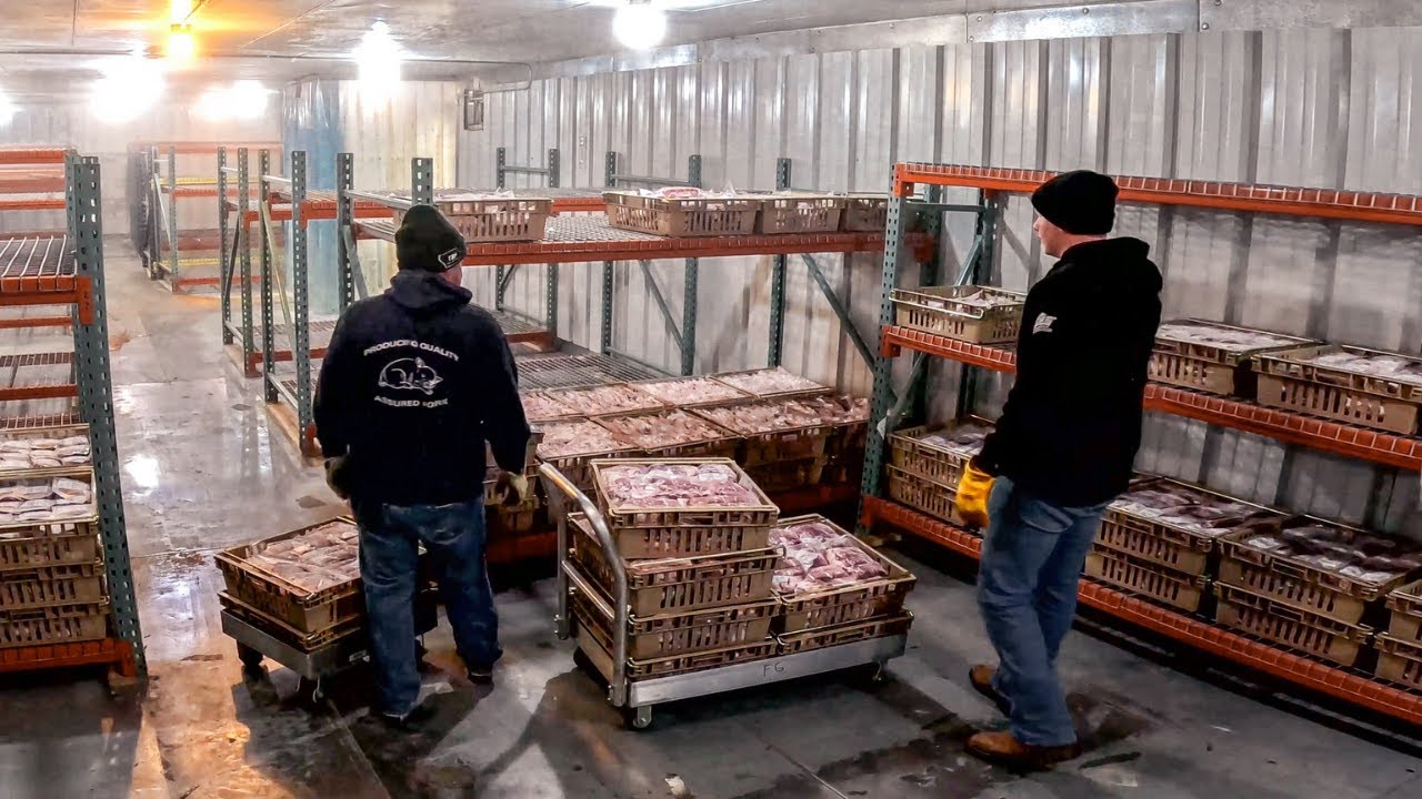 Filling Up The Freezer