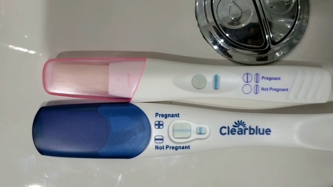 12 dpo live pregnancy test.  I opened  a clear blue digital test.