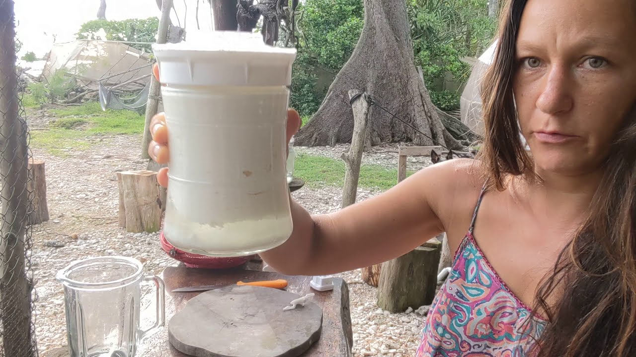 Recipe: using my Kefirko kefir maker 🥛