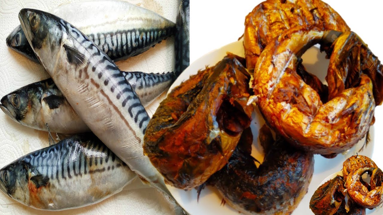 OVEN GRILLED TITUS FISH I navinas kitchen