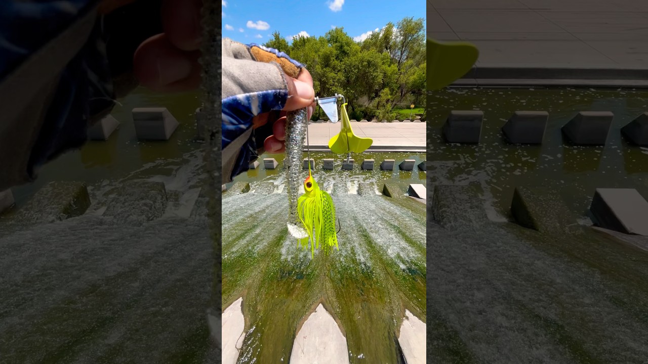 Tips setting up Buzzbait with Trailer for Bass#fishing#fish#tips#shortsvideo#shortvideo#shorts#short