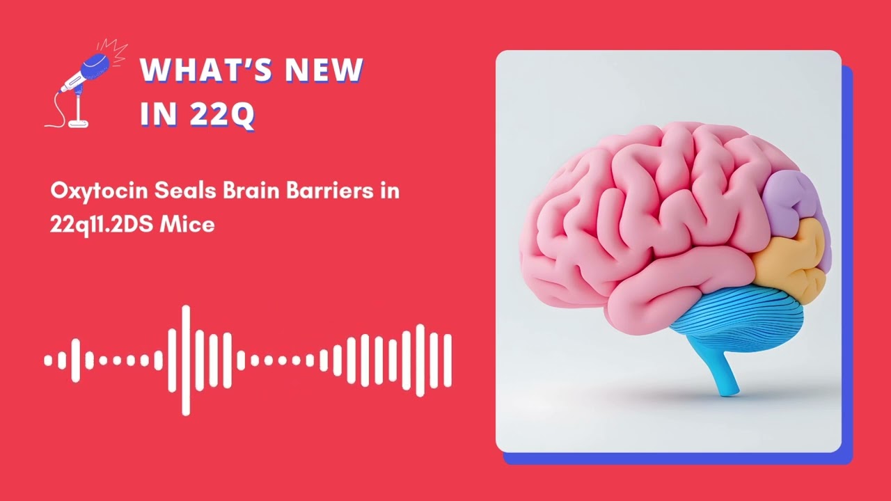 What’s New in 22q - Podcast Episode 11 - Oxytocin Seals Brain Barriers in 22q11.2DS Mice
