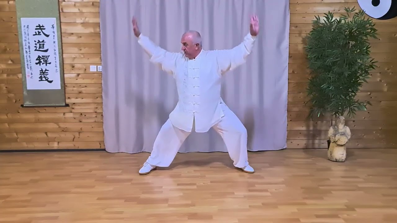 Bagua Zhang 64 paumes linéaires ,Trigramme Feu,  2ème paume 