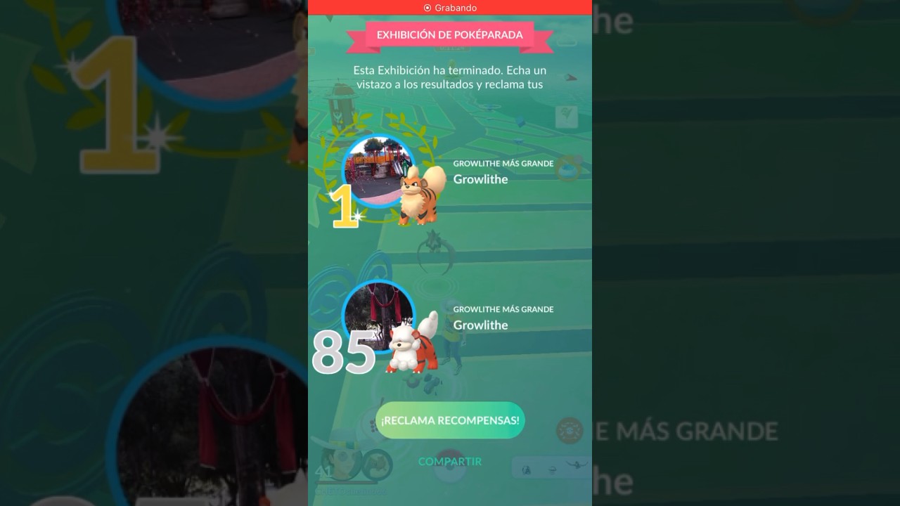 1re lugar en las exhibiciones de Griwlithe #pokemongo #adventuresabound