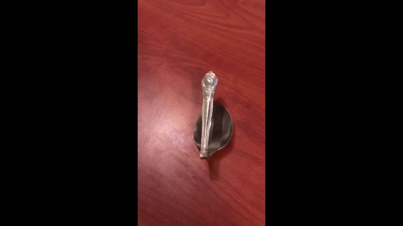 Rattleback Experiment