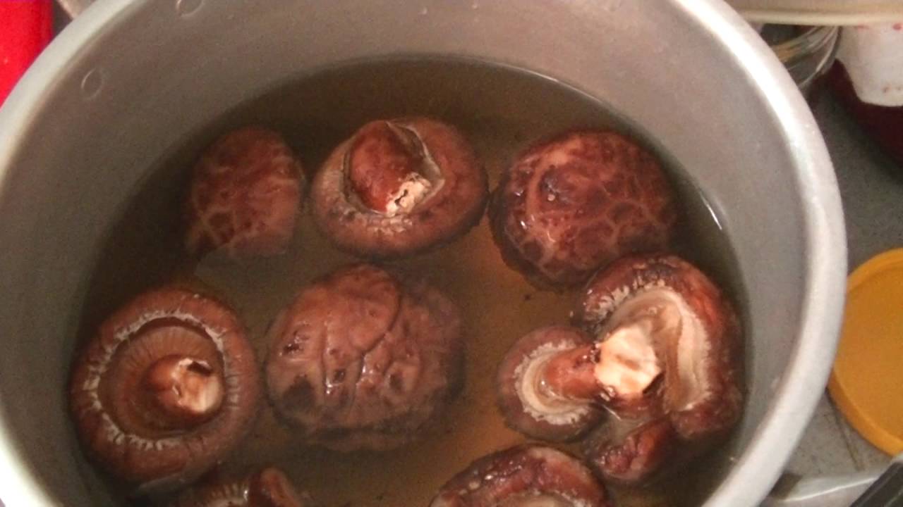Nyonya Dumpling, How It's Made