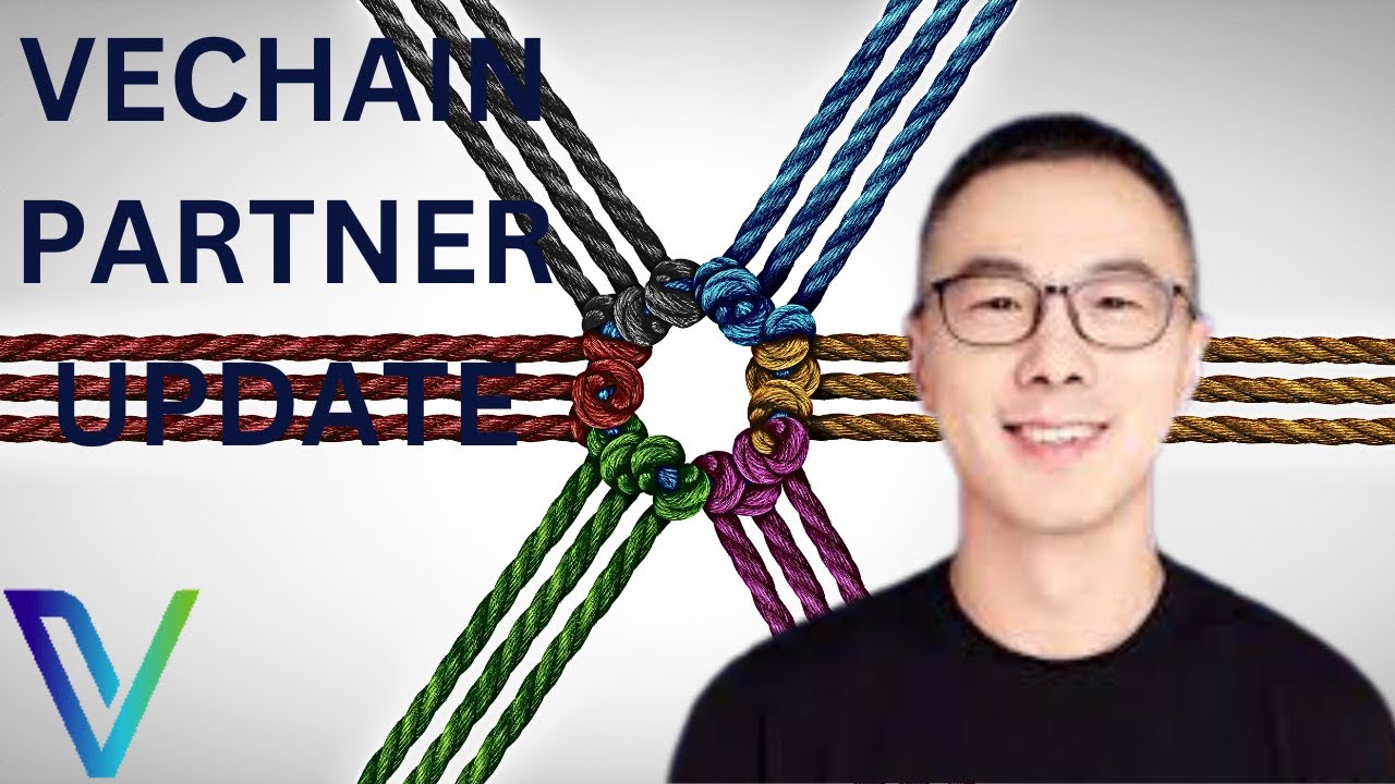 New VeChain Project Released! VET Project SafeHaven Updates!