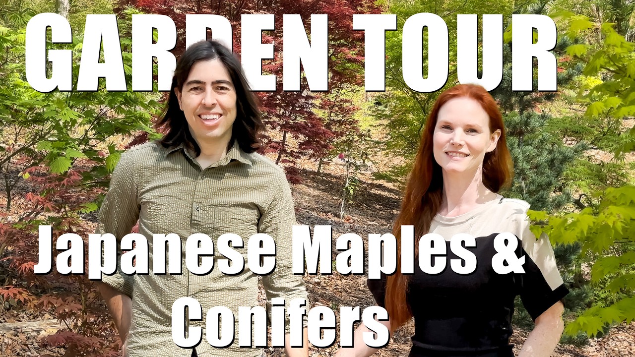 Our Stunning 2025 Garden Tour | 2 Hours of Japanese Maples, Conifers & More!