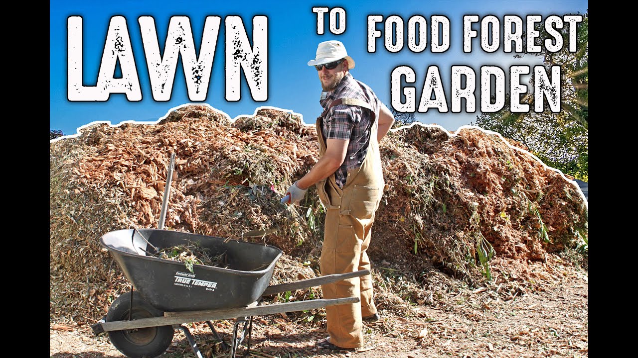 Unbelievable Yard Transformation! From A Boring Lawn To An Abundant Food Forest Garden!!