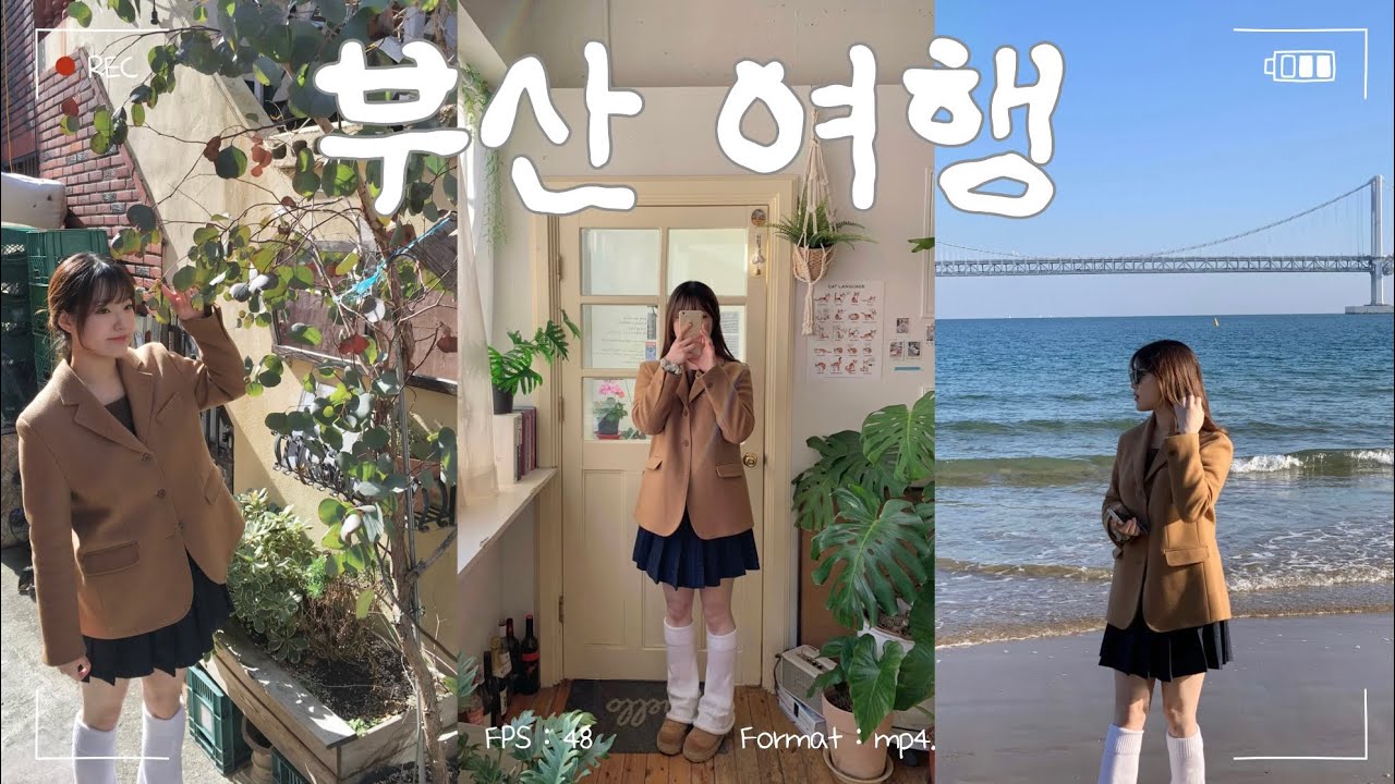 대마도 가려고 부산에 간 여성의 부산 여행 브이로그🌊느낌좋은 카페 2곳 추천. 혼자 걸었던 다대포.개미집 낙곱새