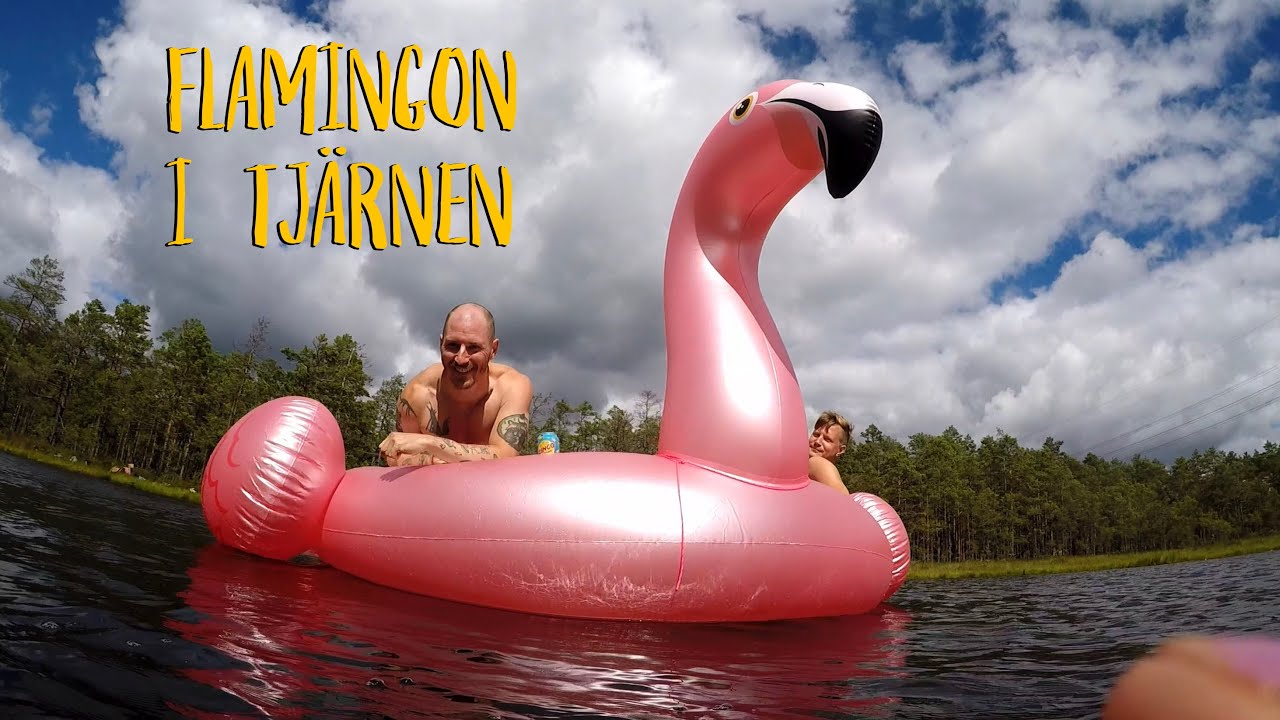 J&auml;tteflamingon Bradget