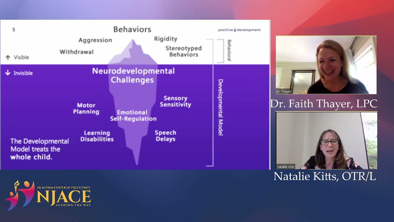 Strategies to Promote Development for a Better Life for Autistic Children through the DIR Model